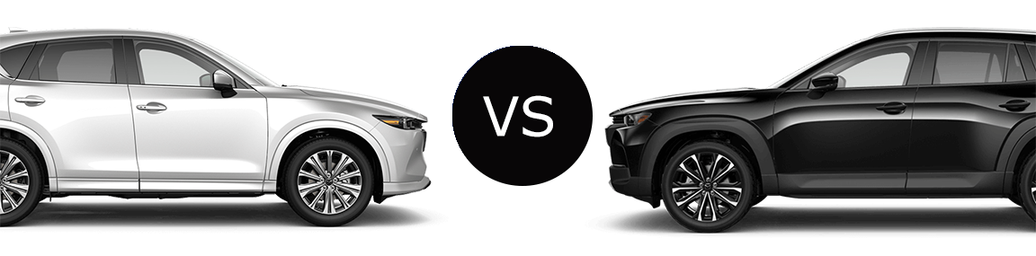 Compare blog1692649229266